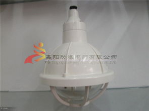 bad51 200增安型防爆燈價格 bad51 200增安型防爆燈型號規(guī)格