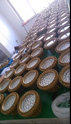 聚焦專(zhuān)業(yè)制造 廣州領(lǐng)先的LED防爆燈生產(chǎn)廠(chǎng)家與安防產(chǎn)品生態(tài)