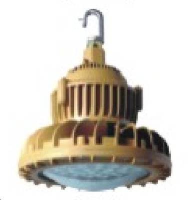 SHD8202-IV防爆高效節(jié)能LED燈 海洋王專(zhuān)業(yè)照明解決方案