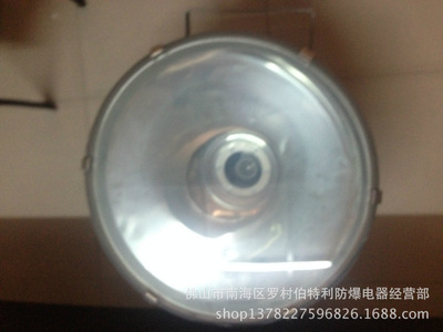 新黎明FTd系列防水防塵防腐投光燈 專(zhuān)業(yè)三防照明解決方案